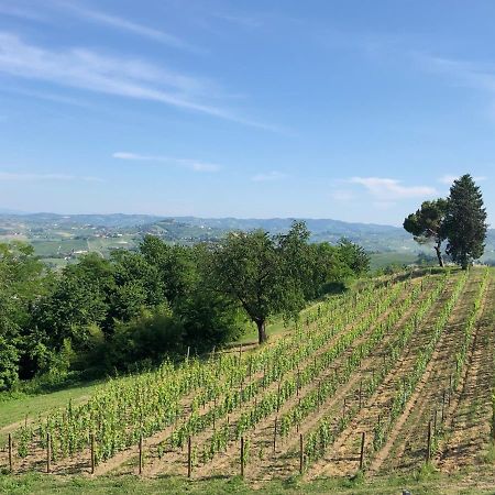Cascina San Michele Bed & Breakfast Costigliole d'Asti Exterior photo