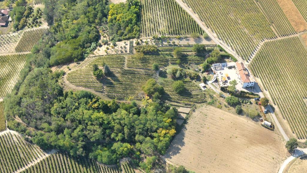 Cascina San Michele Bed & Breakfast Costigliole d'Asti Exterior photo